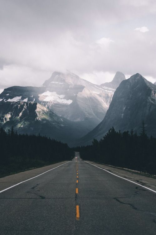 Passivhaus: creating a roadmap to net zero carbon