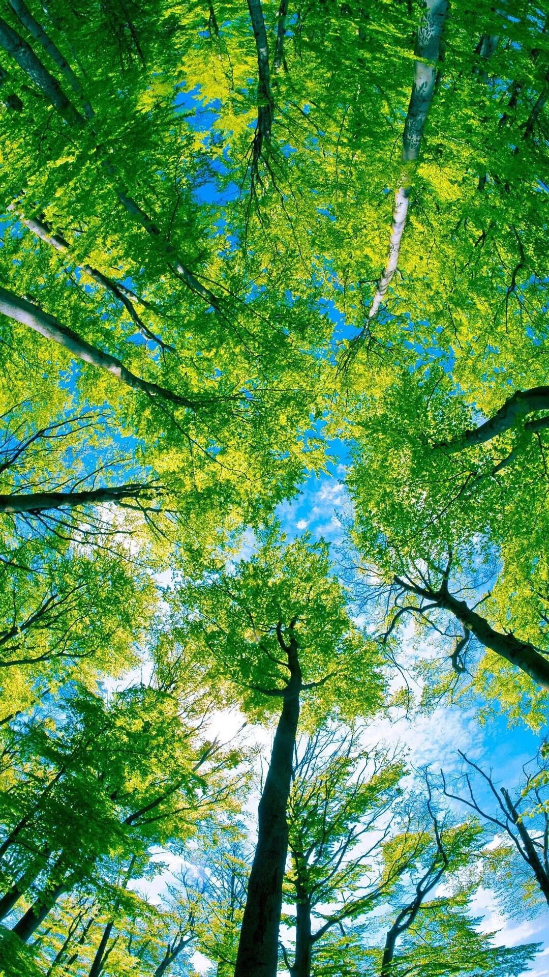 P-DfMA: designing to zero carbon in use